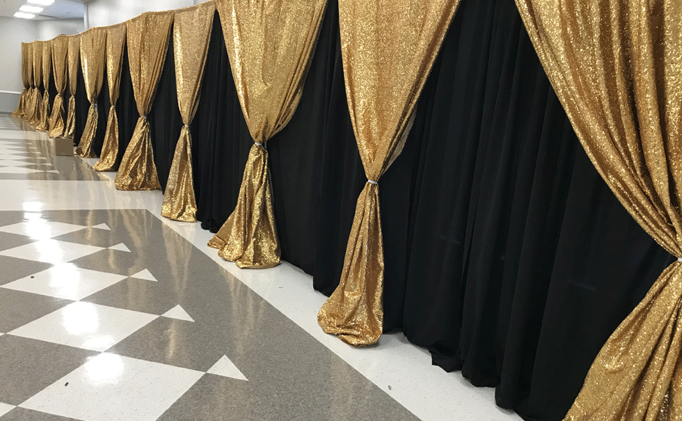 Denver Pipe And Drape, 55% OFF | www.pinnaxis.com