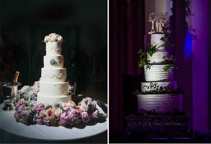 Cake Spotlights Reception