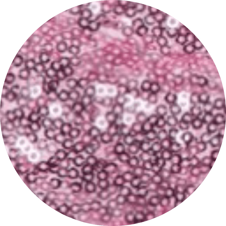 best-event-rentals-near-me-wedding-decor-best-wedding-rentals-fast-delivery-free-shipping-rent-my-wedding-backdrop-sequin-fabric-color-pink