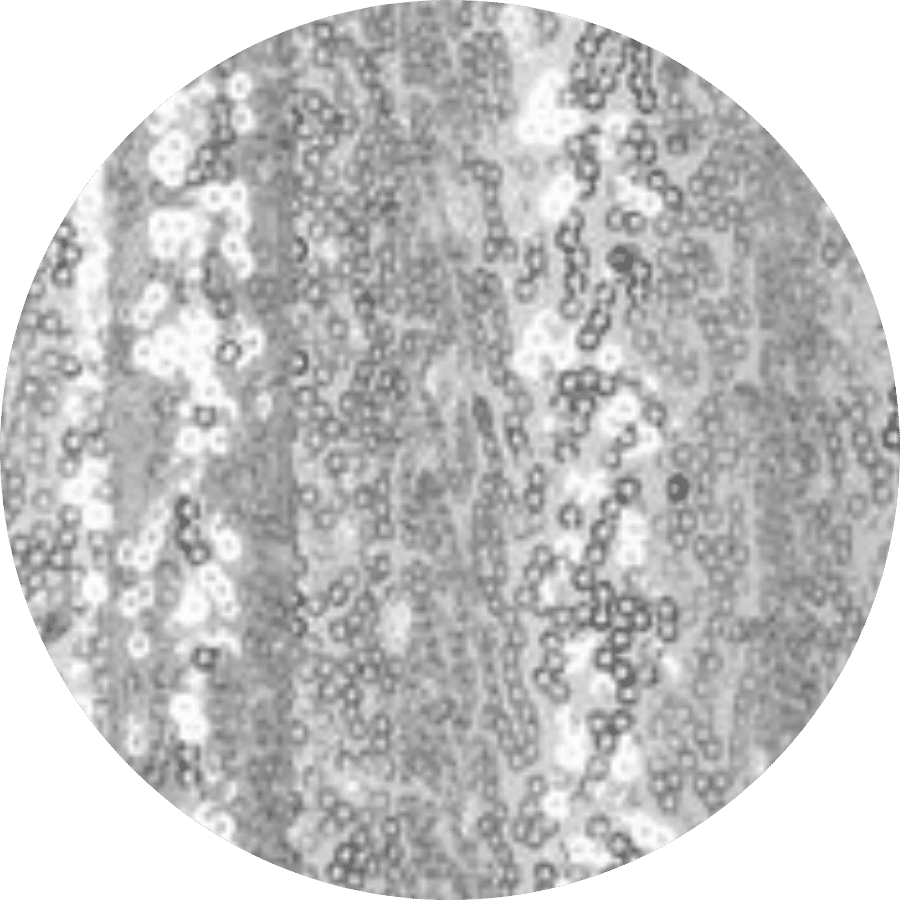 best-event-rentals-near-me-wedding-decor-best-wedding-rentals-fast-delivery-free-shipping-rent-my-wedding-backdrop-sequin-fabric-color-silver