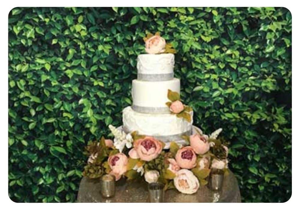 backwood-backdrop-best-backdrop-rentals-near-me-greenery-backdrop-rental-photobooth-set-up-diy-photo-booth-best-boxwood-rentals