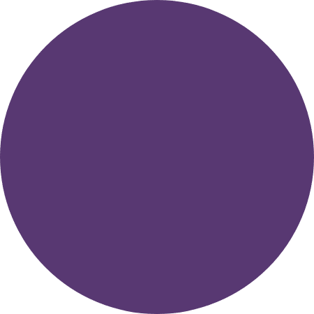 purple-best-event-rentals-near-me-wedding-decor-best-wedding-rentals-fast-delivery-free-shipping-rent-my-wedding-linens-chair-covers-drapes-fabric-color-black (10)