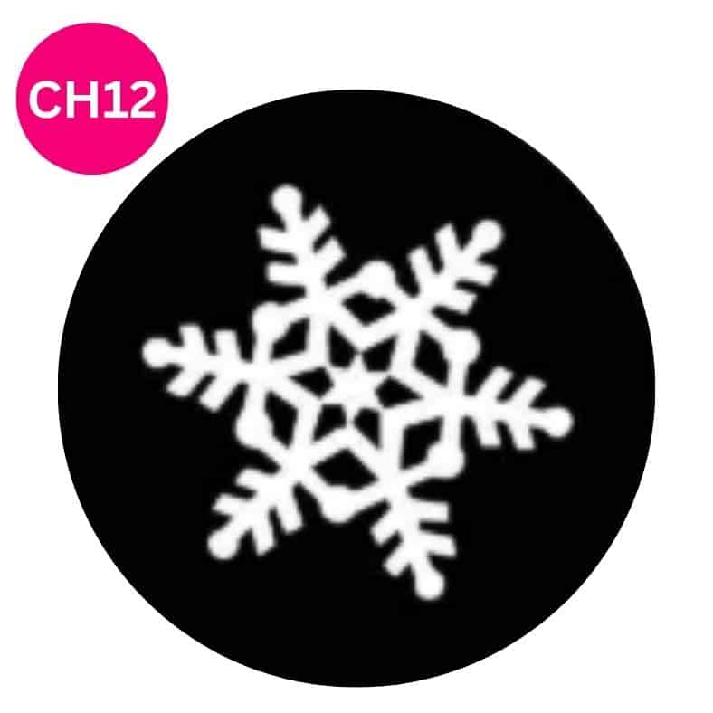 christmas-party-decor-halloween-party-lighting-rentals-monogram-lighting-rentals-gobo-rentals-event-lighting-party-lighting-rentals-party-decor