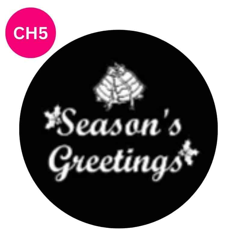 christmas-party-decor-halloween-party-lighting-rentals-monogram-lighting-rentals-gobo-rentals-event-lighting-party-lighting-rentals-party-decor