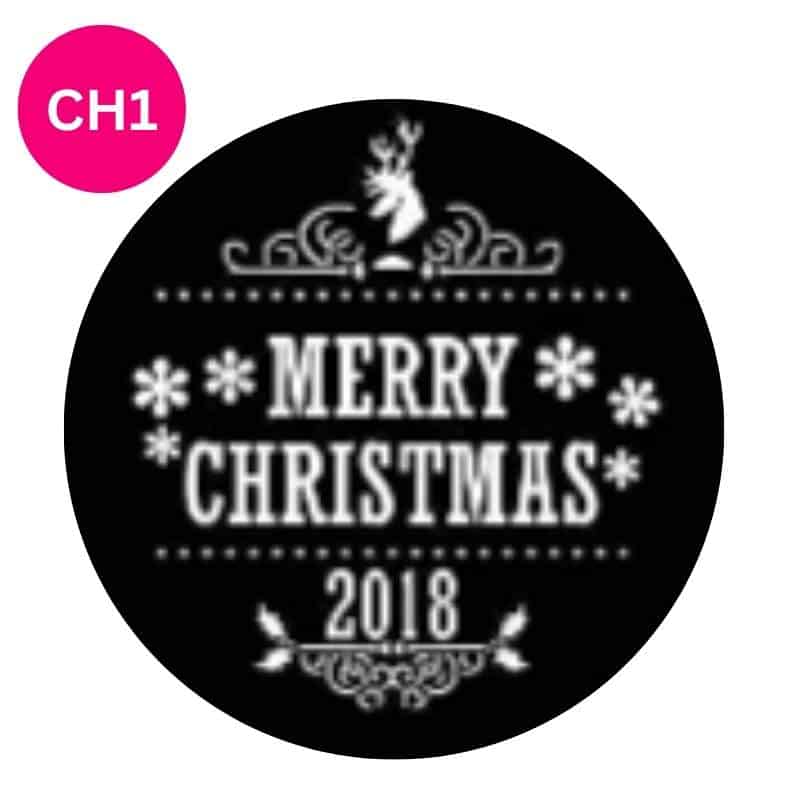 christmas-party-decor-halloween-party-lighting-rentals-monogram-lighting-rentals-gobo-rentals-event-lighting-party-lighting-rentals-party-decor