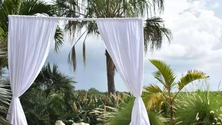 White canopy drapes tied back on a frame in a garden with palm trees under a blue sky