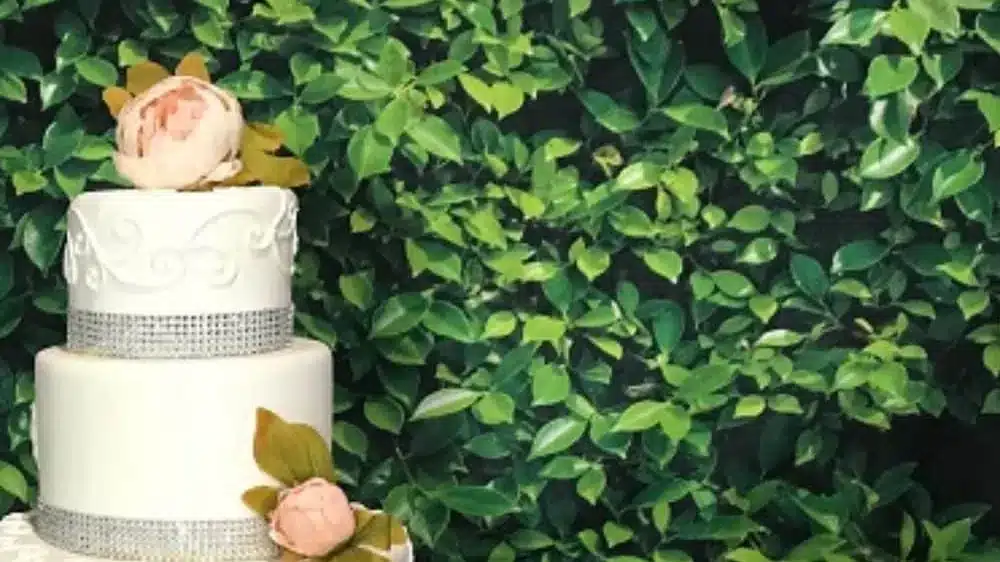 White wedding cake with peach flowers in front of a green boxwood wall