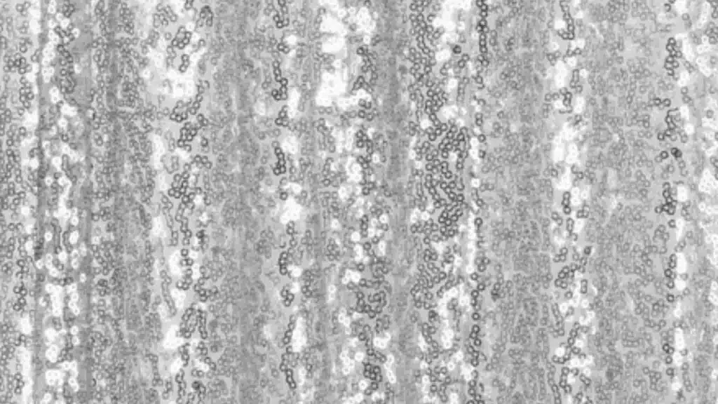 Close-up of shimmering silver sequin backdrop fabric