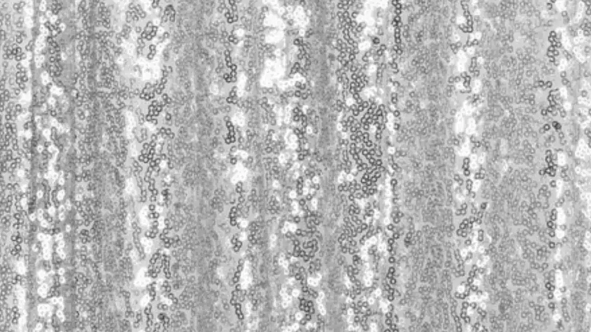 Close-up of shimmering silver sequin backdrop fabric