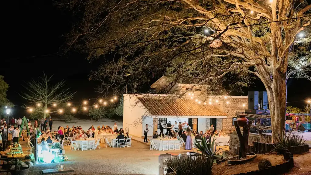 Guests seated at white tables under a large tree strung with lights at an evening outdoor wedding reception
